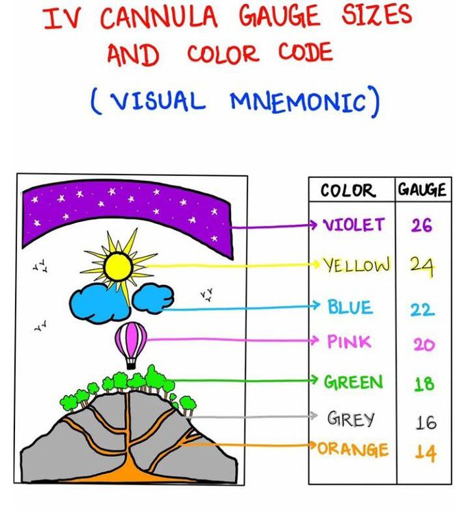 IV canula guage size and color code