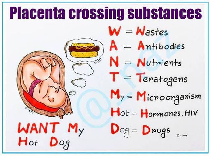 Placenta crossing substances