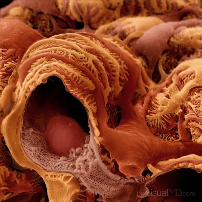 Guess what is it?