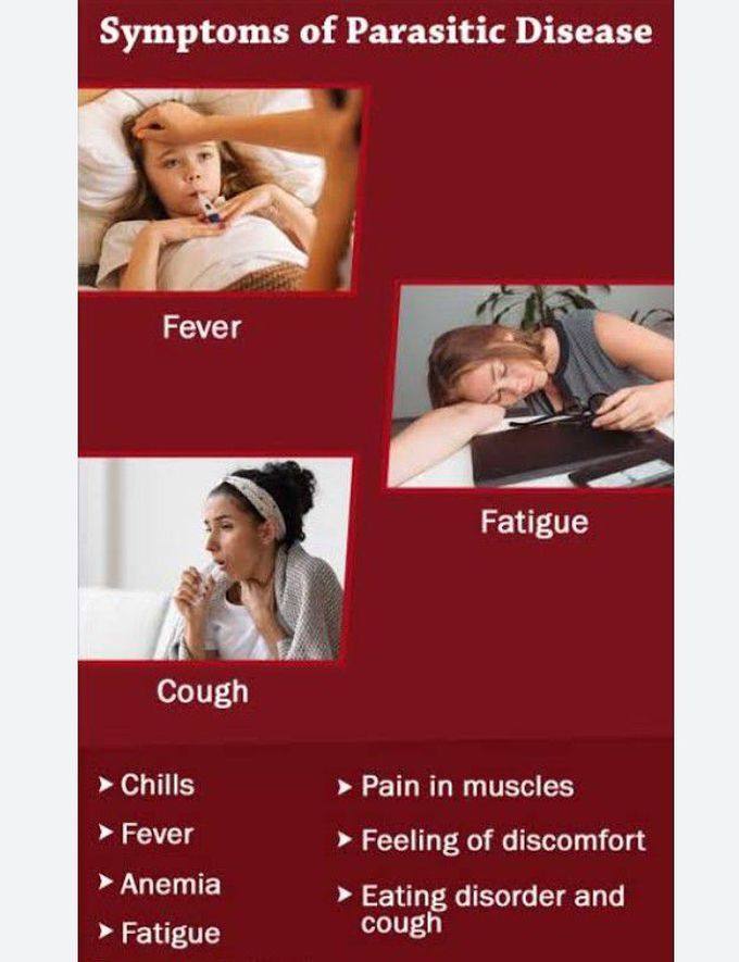Symptoms of Babesiosis