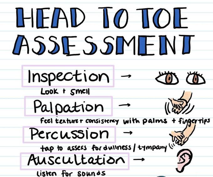 Head to Toe Assessment