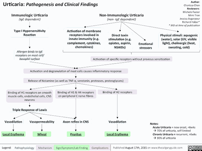 Urticaria: Pathogenesis and Clinical Findings