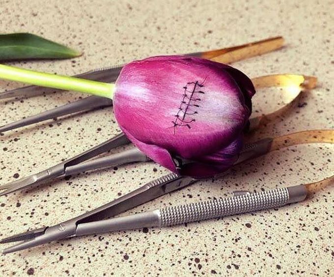 Suture ❤️❤️