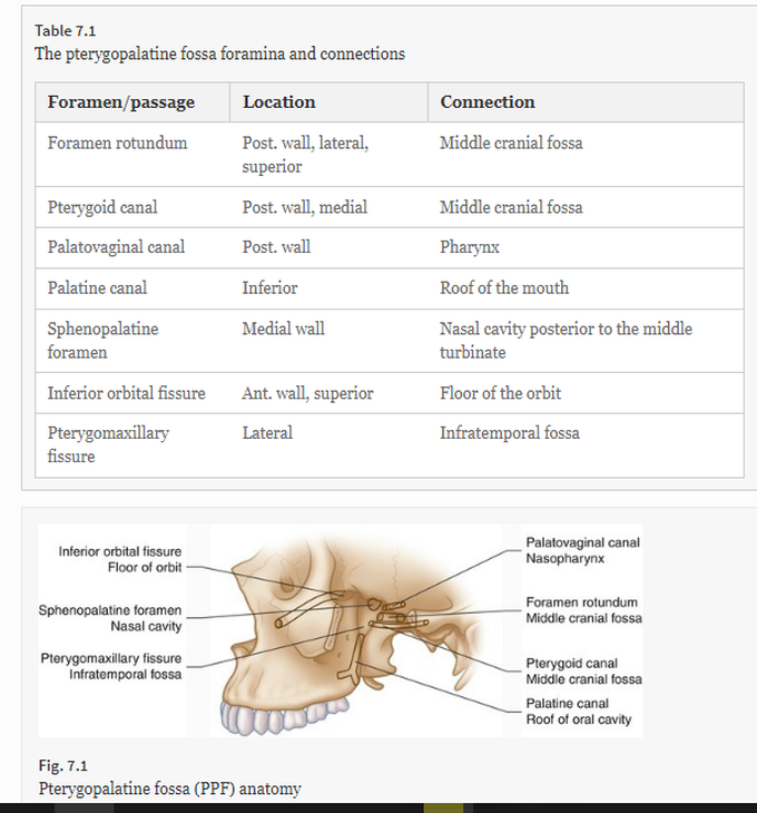 Pterygopalatine fossa foramina