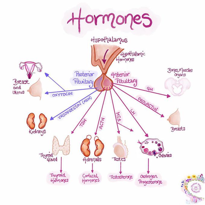 Hormones