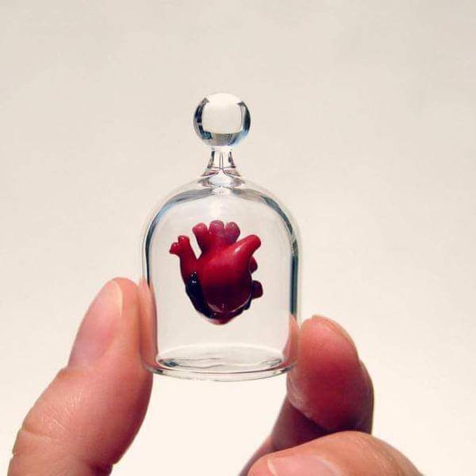 Heart