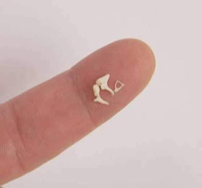 ear bones