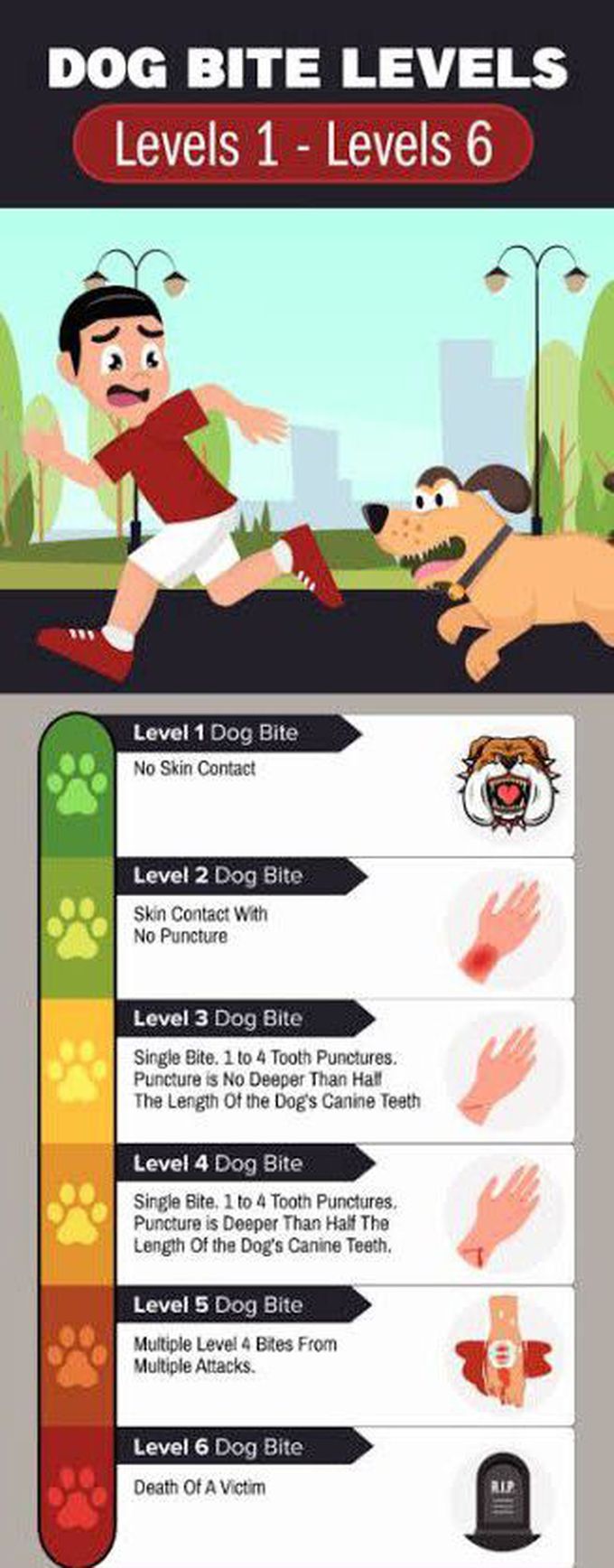 Dog Bite Levels