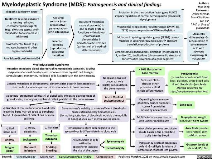 Myelodysplastic Syndrome