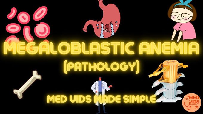 Brief Pathology of Megaloblastic Anaemia