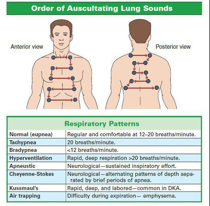 Lungs ascultation