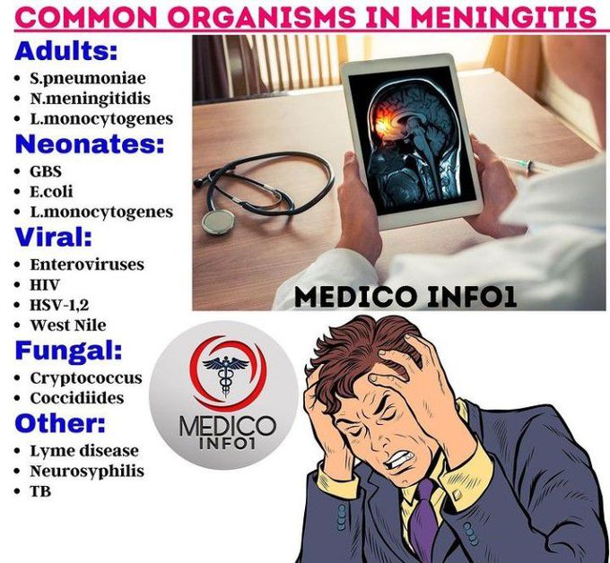 Organisms causing meningitis