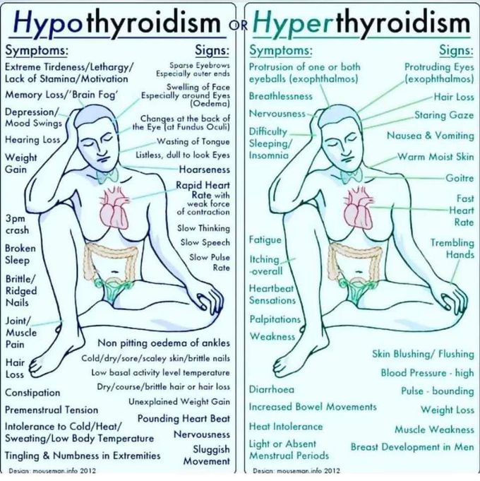 Hypo⤵️ 🔥vs🔥 Hyper⤴️