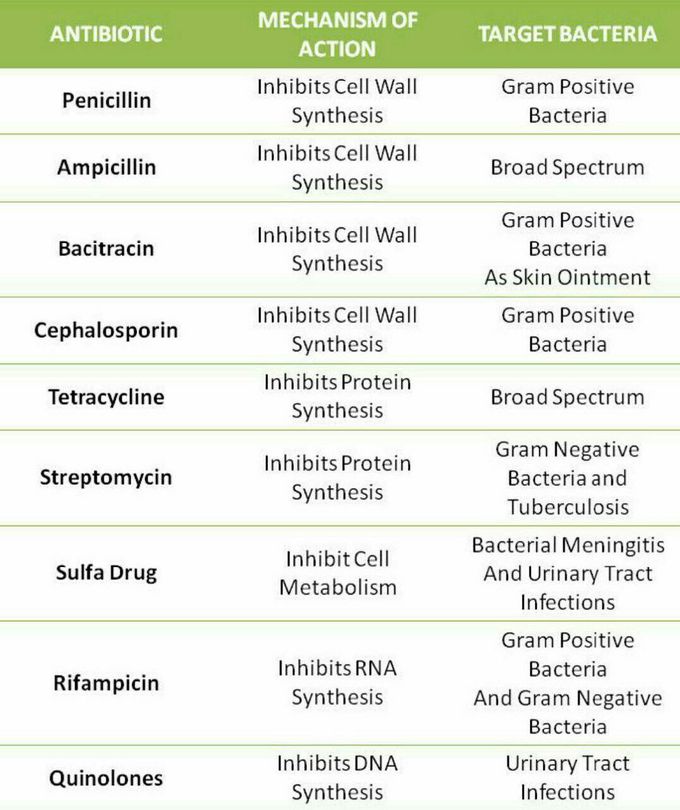 ANTIBIOTICS