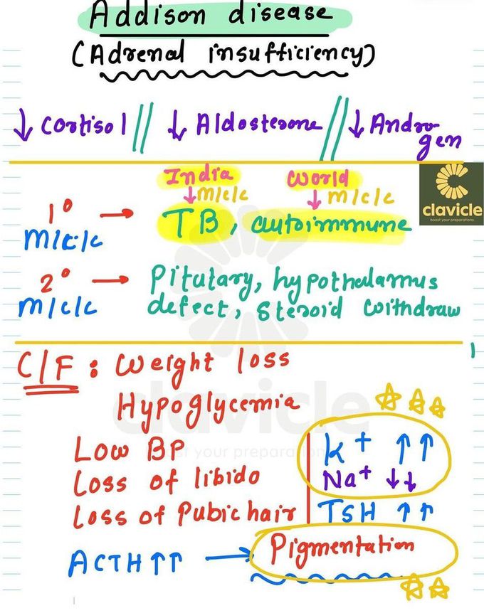 Addison's Disease