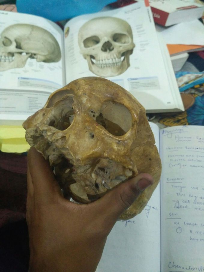 It's very tough for me to grab nuroanatomy