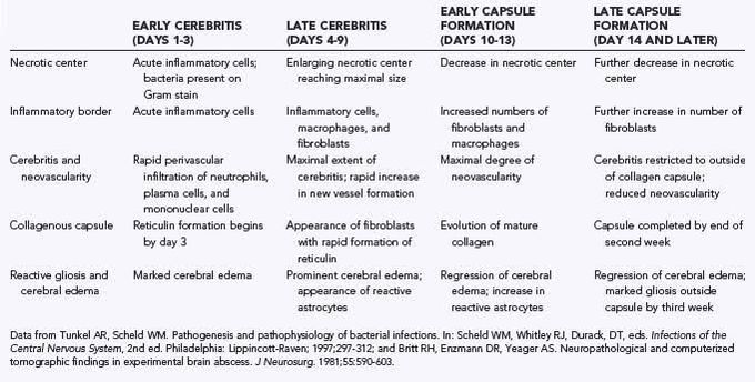 Stages of cerebritis