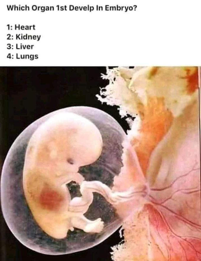 Ans plzz