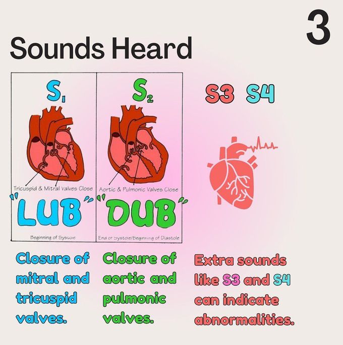 Heart Auscultation III