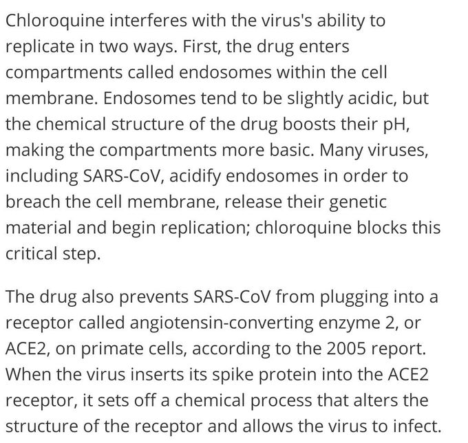 How chloroquine works