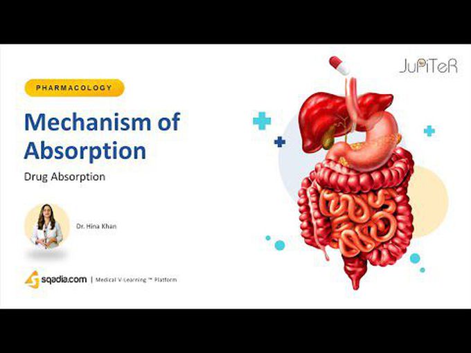 Precise overview of drug absorption mechanism -Animation
