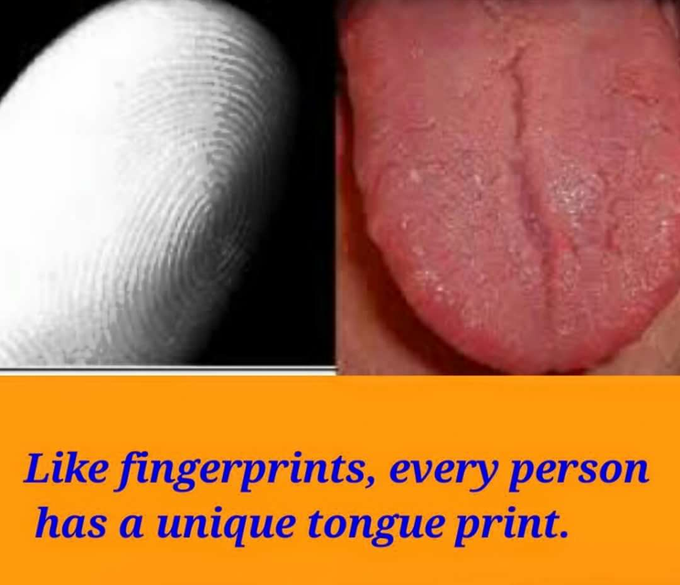 # fact.