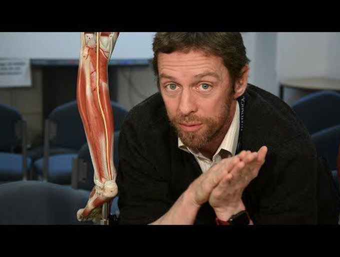 Introduction to the Posterior Muscles of the Thigh.
