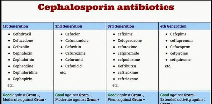 Cephalosporin antibiotics