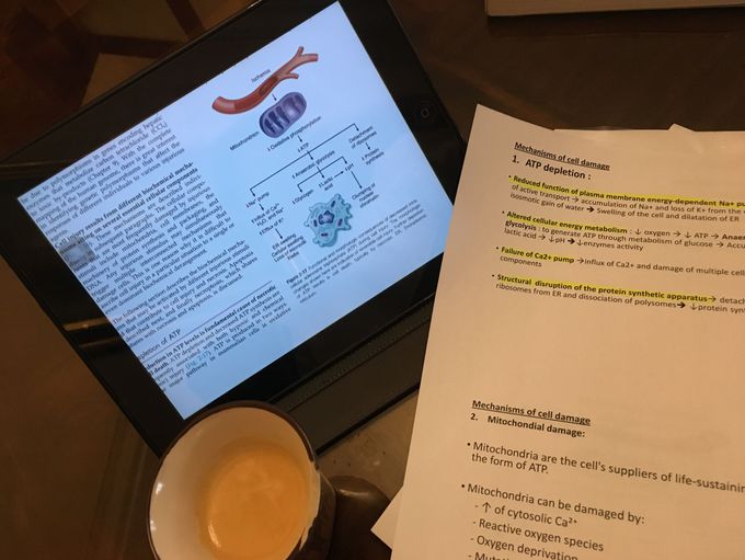 ATP depletion