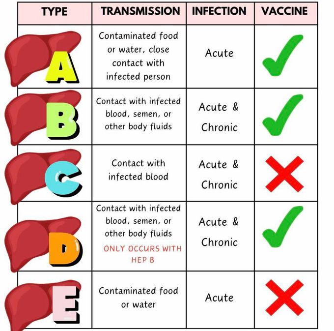 Hepatitis