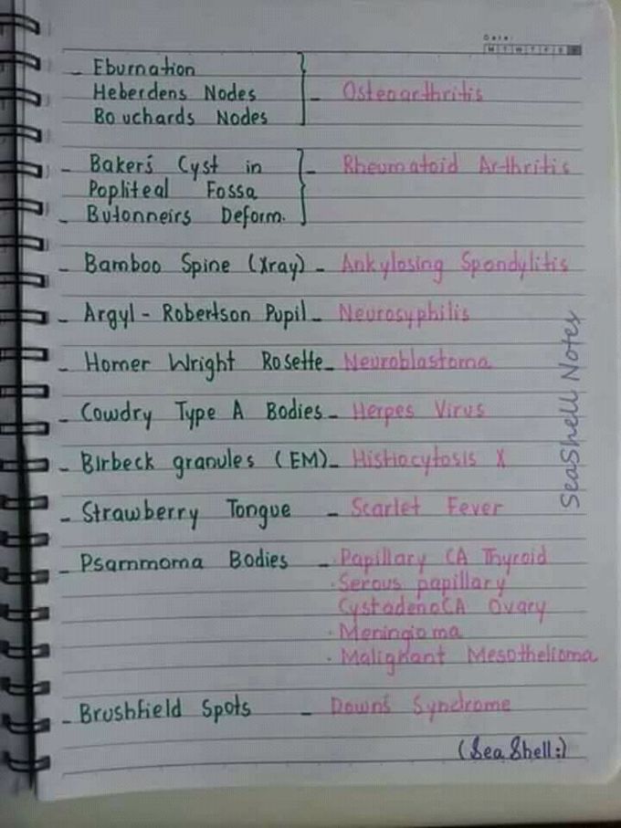 Terms