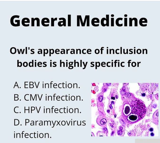 Inclusion bodies