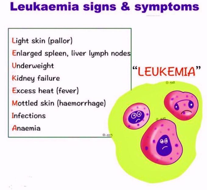 Leukemia Sign and Symptoms