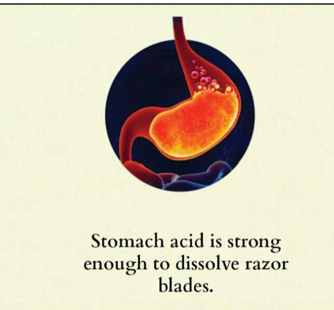 Stomach acid 