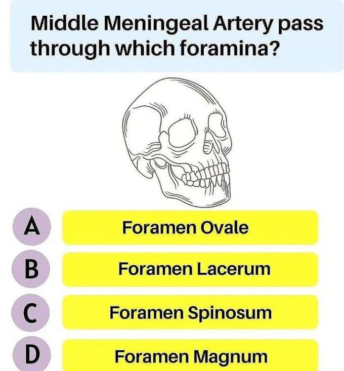 Middle meningeal artery pass through which foramina?