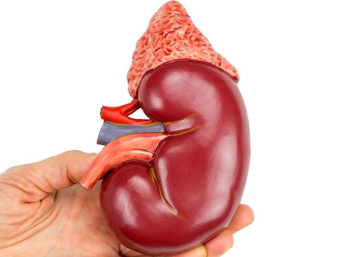 Uremia: Treatment, symptoms, and causes