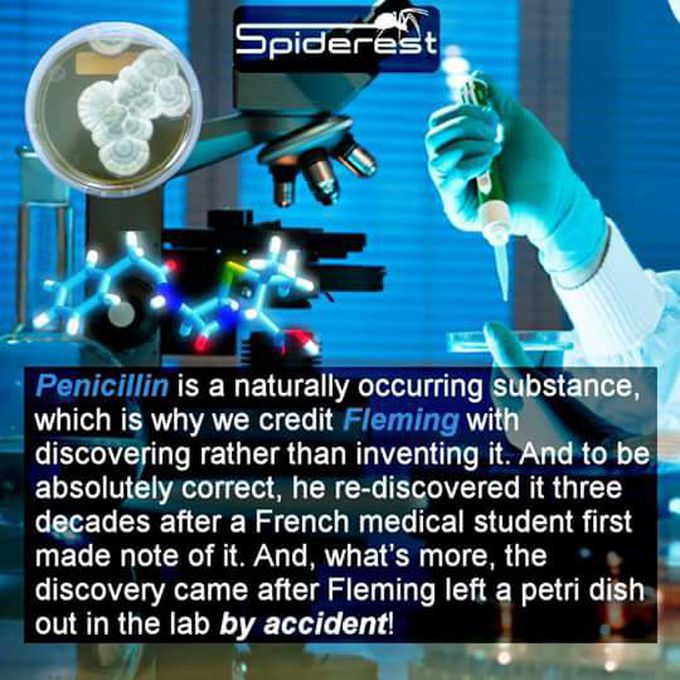 Penicillin