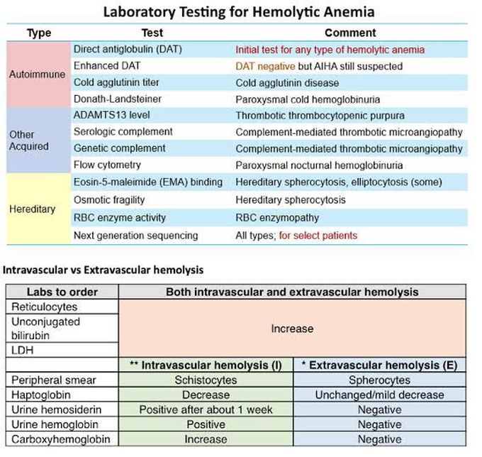 Laboratory Testing for Hemolytic Anemia