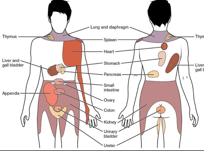 Referred pain