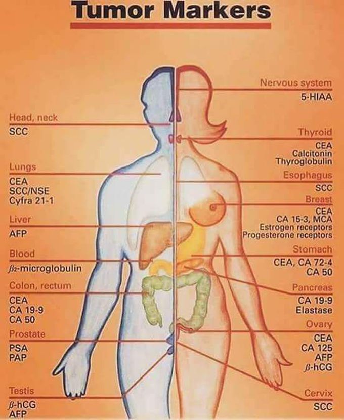 Tumor makers