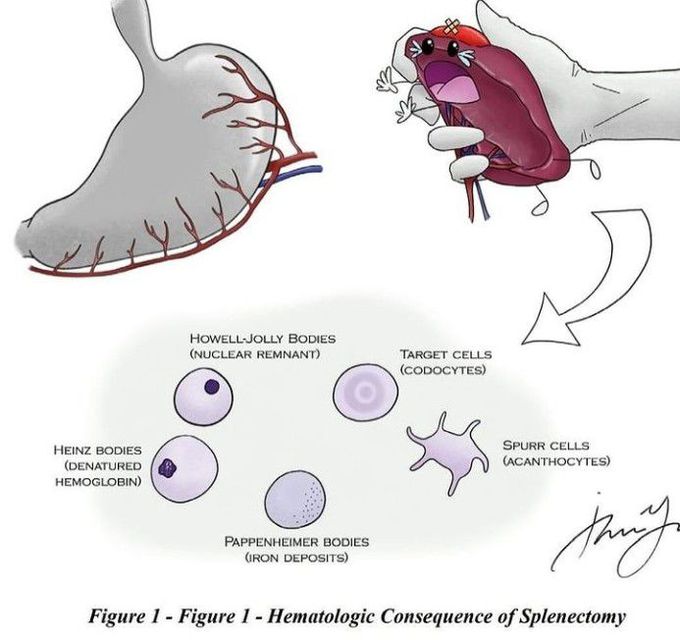 General surgery