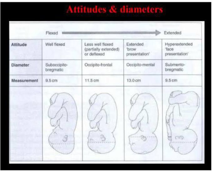 Attitude and Diameter