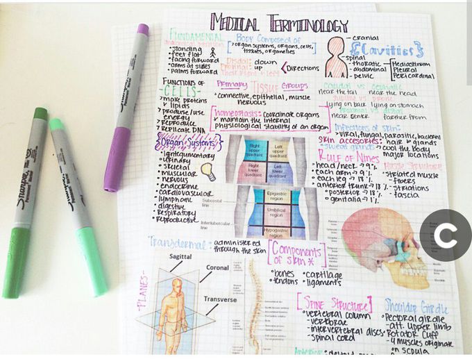 medical terminology test.