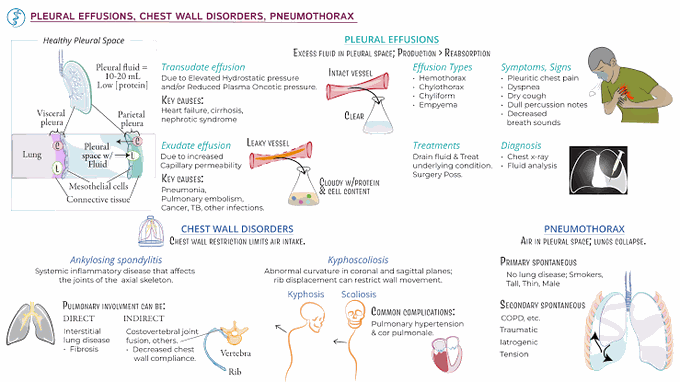 Pleural effusion and chest wall disorder