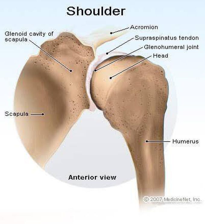 Dislocated Shoulder Causes