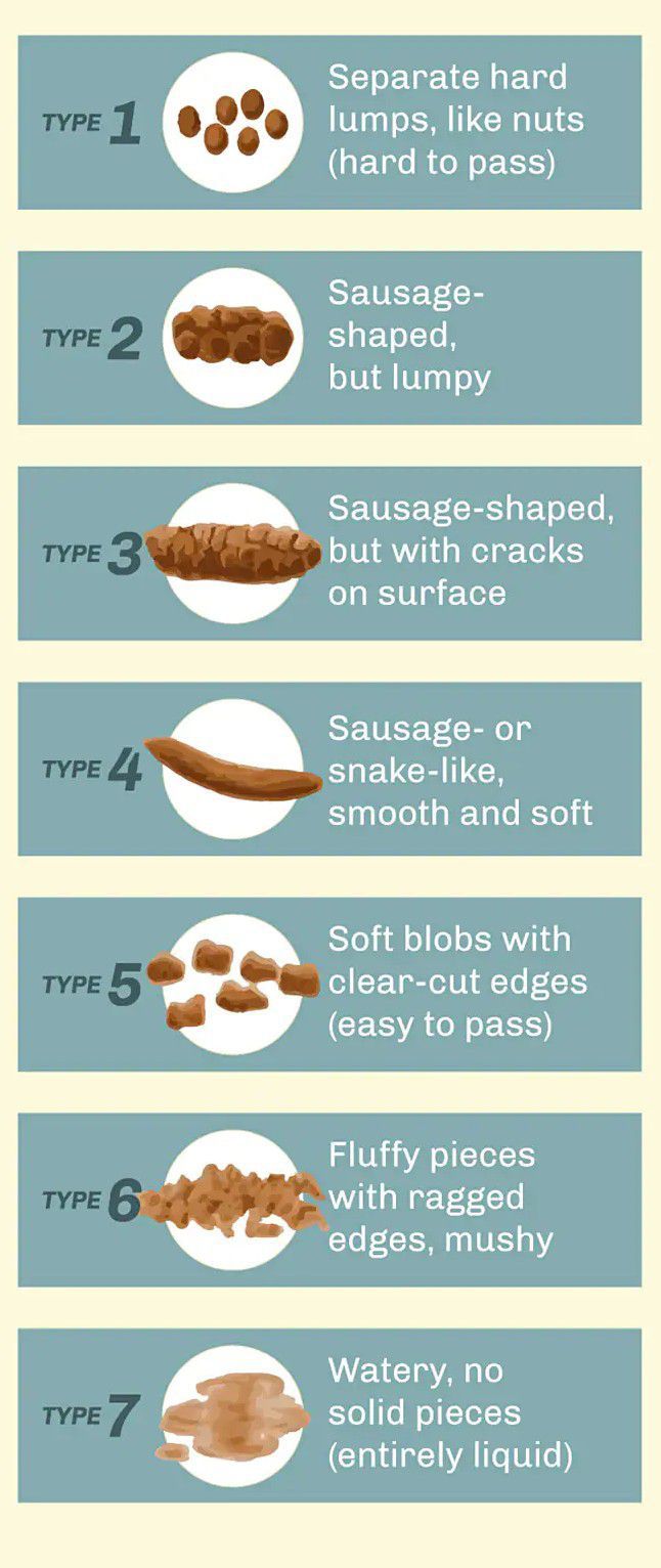 Bristol Stool Chart - MEDizzy