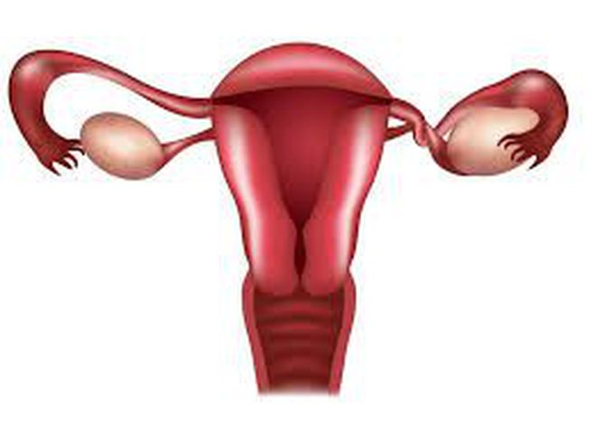 Symptoms of ovarian torsion