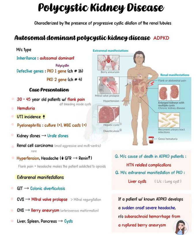 Polycystic Kidney Disease