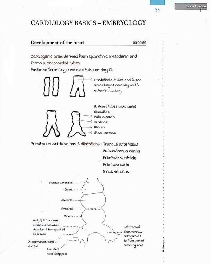 Embryology