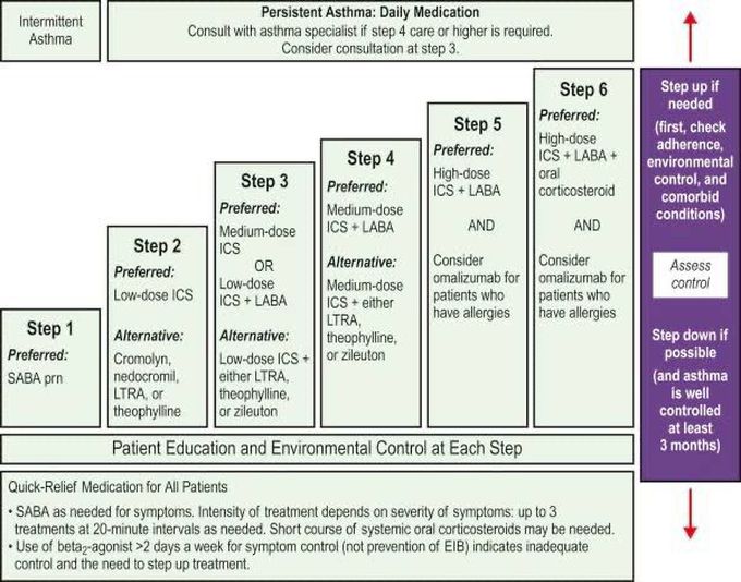 Asthma Treatment